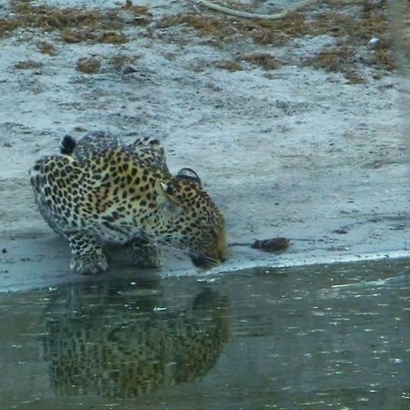 Отель Camp Savuti Экстерьер фото