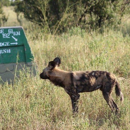 Отель Camp Savuti Экстерьер фото